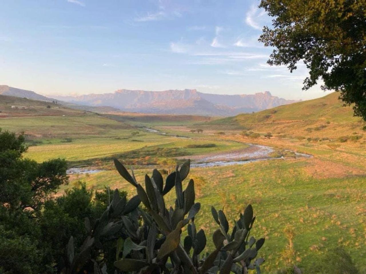 Hlalanathi Drakensberg Resort 伯格维尔 外观 照片